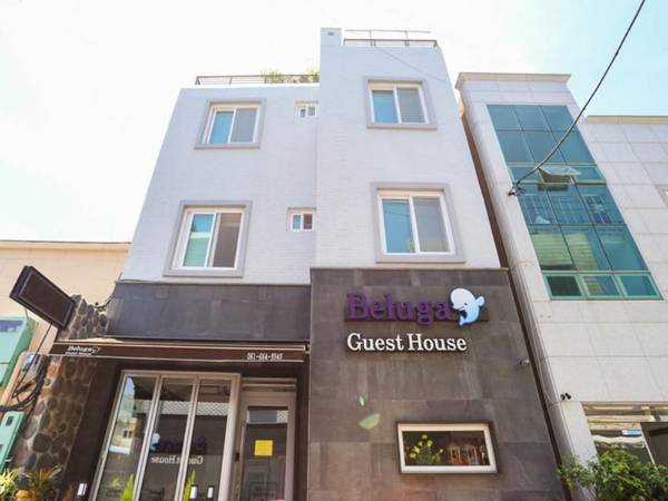 Yeosu Beluga Guesthouse