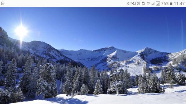 Jelmon Anstalt Restaurants Schneeflucht