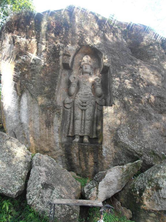 Villa Agrico and Surf Guest