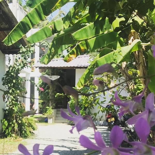 Colours of Life Home