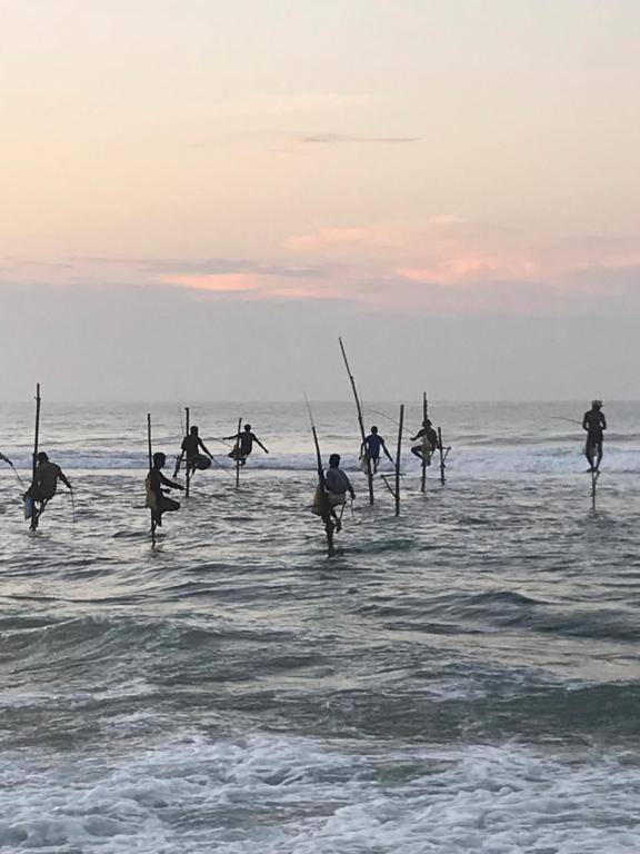 Colours of Life Home