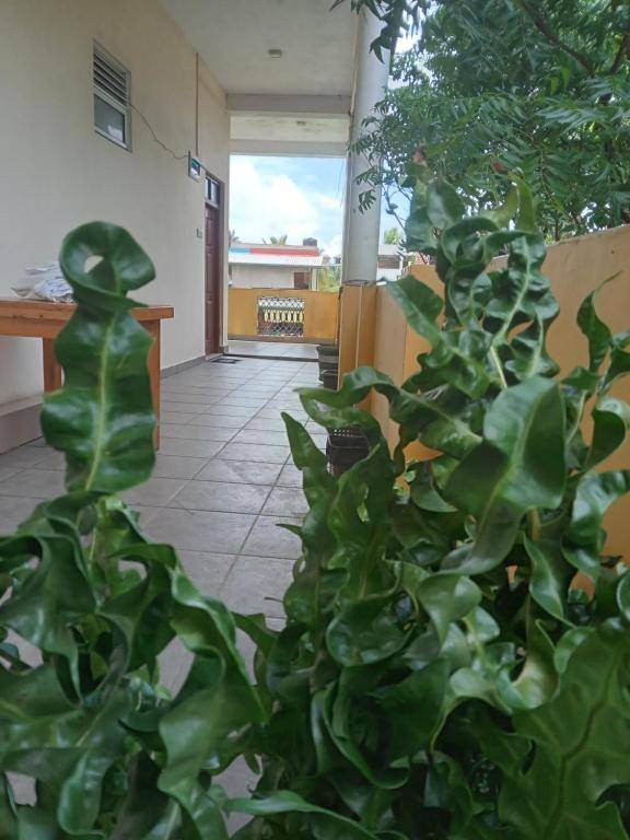 New golden bay Resort