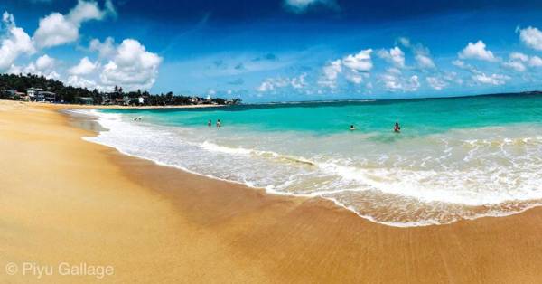 Daffodil Holiday Resort