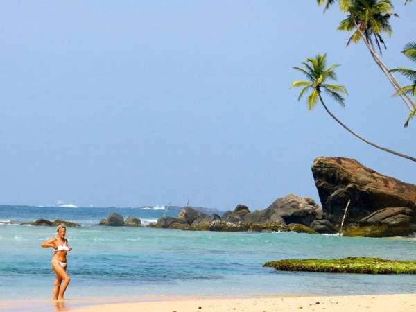 Tropical Dream Villa