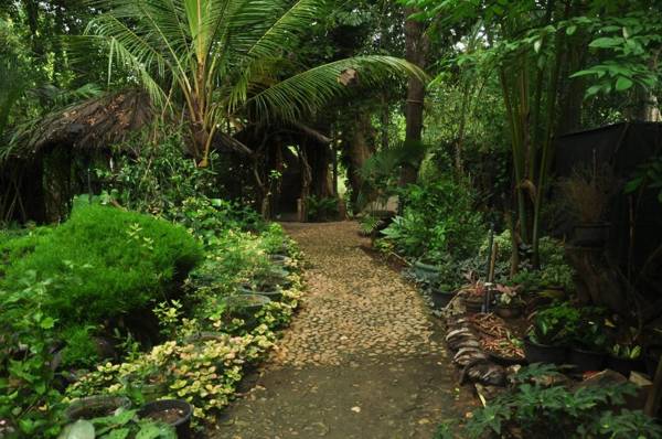 Kumbuk Tree House Yala