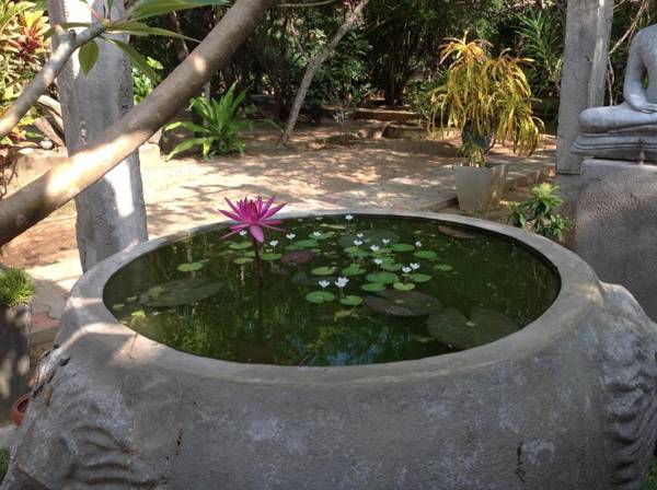 Suduweli Beauties of Nature