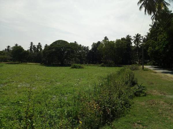 Tissa Lake Resort