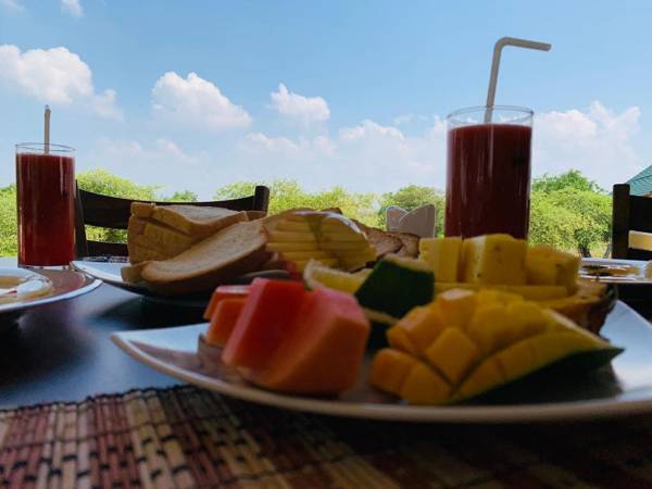 Thihawa Eco Huts Yala 