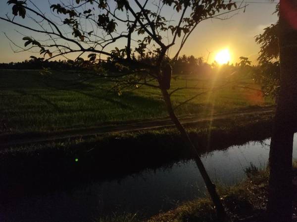 Village Mango Resort Yala