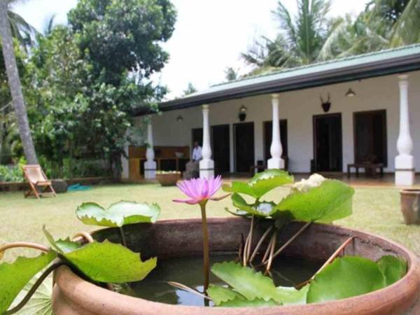 Mahawewa Nature Resort