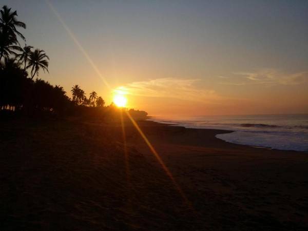 Darwins Beach Resort- Tangalle