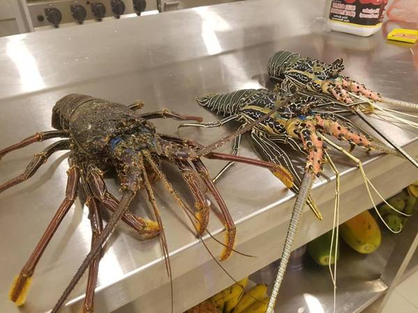 Sanu Lagoon Resort & Spa