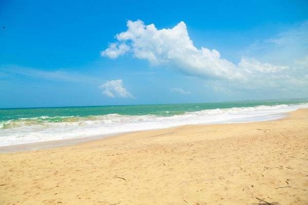 Heaven in Satinwoods