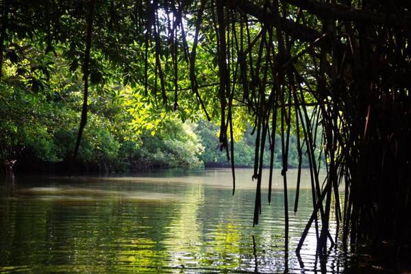 Hidden Garden Tangalle