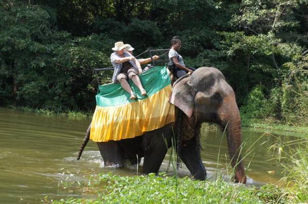 Sigiri Thilanka Rest Sigiriya