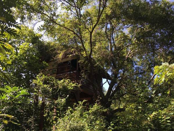 INN On The Tree Eco Resort Sigiriya