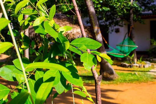 Sigiriya Lahiru Homestay