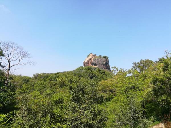 Oshani Homestay Sigiriya