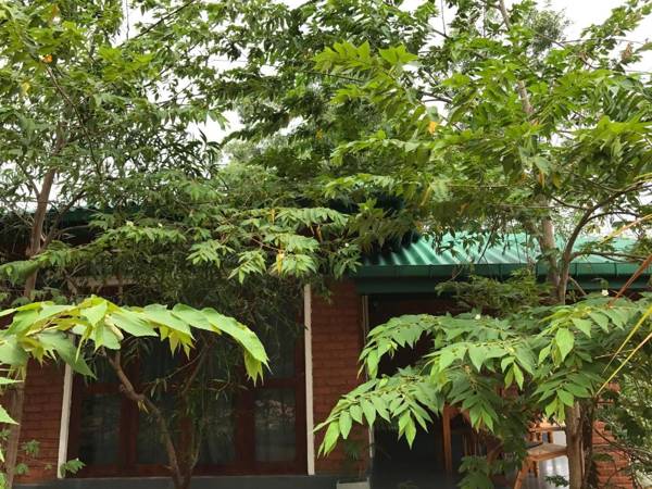 Sunshine Resort & Spa Sigiriya