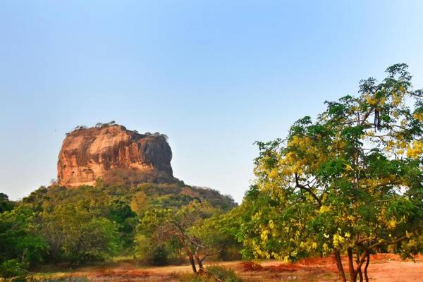 Sigiri Asna Nature Resort