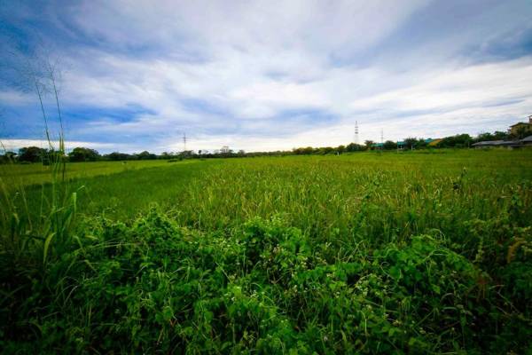 Elephas Resort & Spa