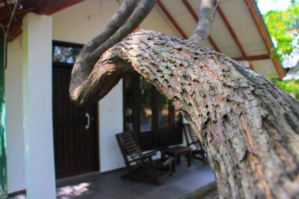 Palmyra Nature Resort Sigiriya