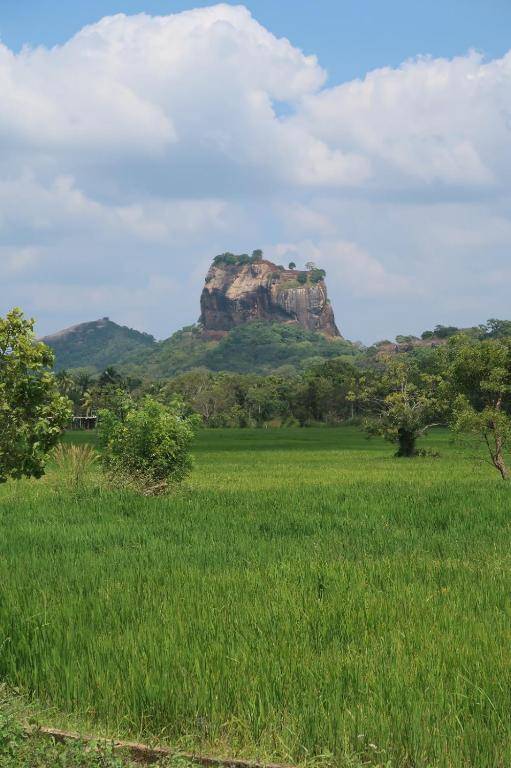 Sigiri Lucky View Villa