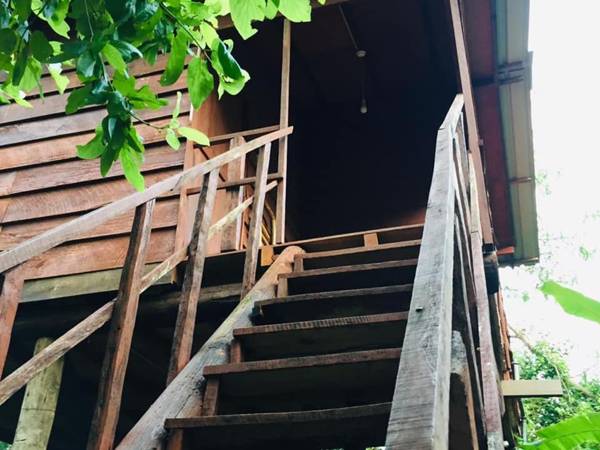 Tree house Hostel Sigiriya