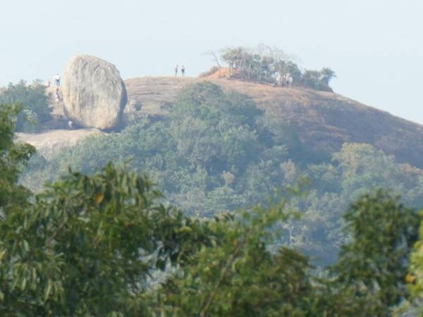 tree house and beautiful hostel sigiriya