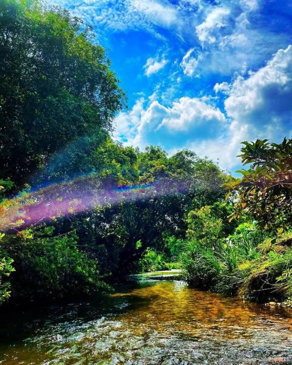 Gileemale Walawwa by The Serendipity Collection