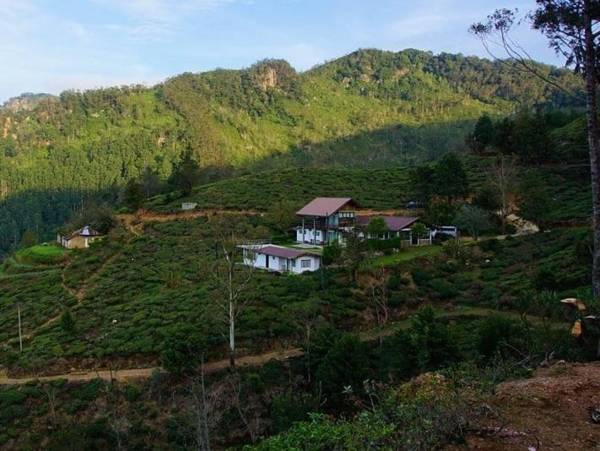 Hill Safari - Tea Estate Villa