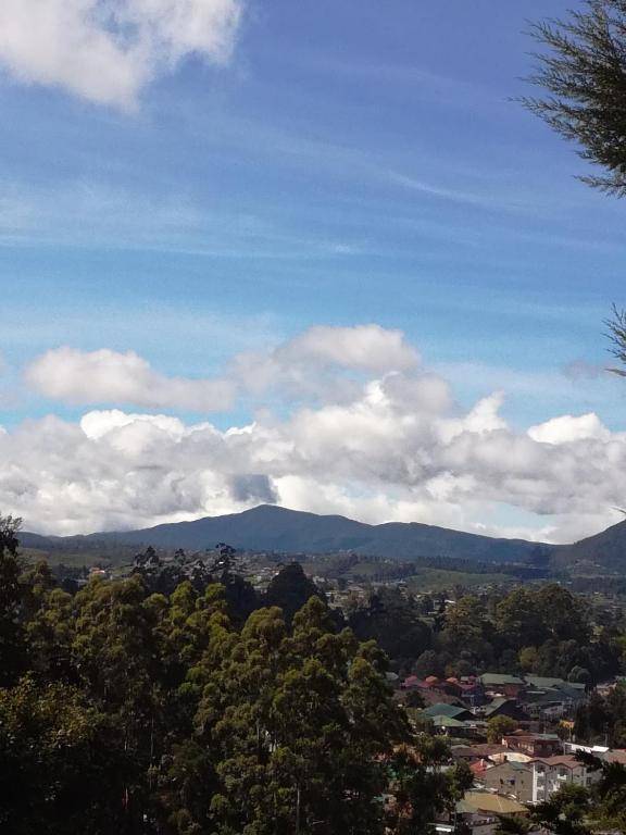 Sincere Wilderness Home stay