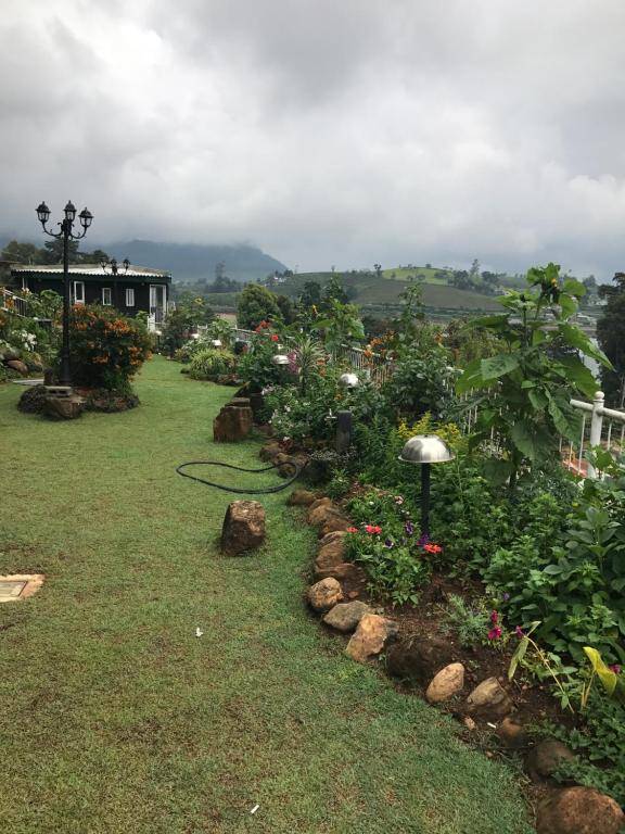 Misty Paradise of Lake Gregory