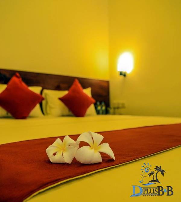 D Plus B&B Negombo