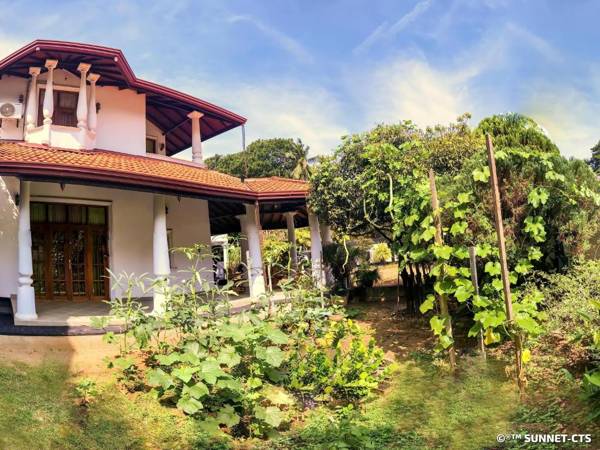 Ceylon Pearlwing Resort