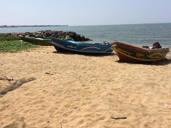 The Alexis's Guest House