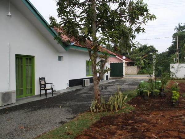 Green Banana Mirissa Hotel