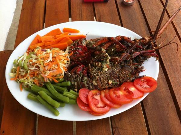 Wine Tree Garden Guesthouse