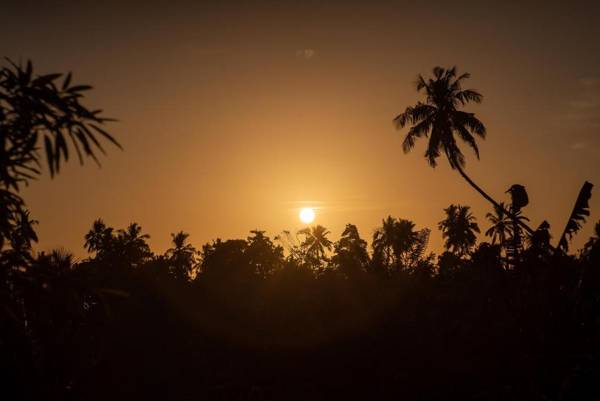 Your Dream Bungalow - Mirissa