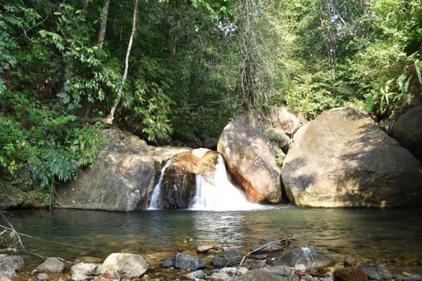 Gallene Gala Nature Resort