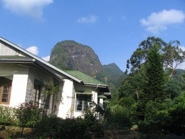 Knuckles Plantation Bungalow