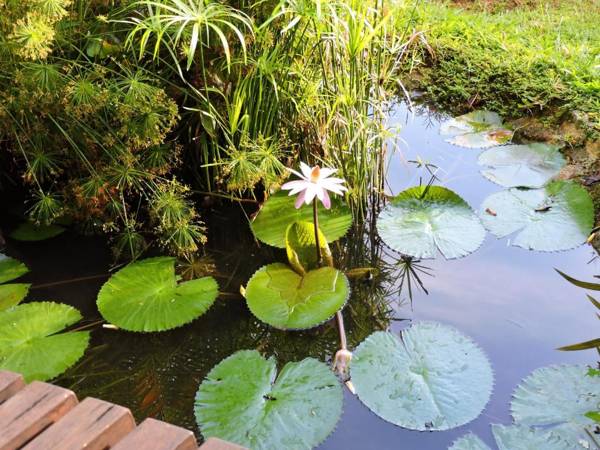 Galavilla Boutique Hotel & Spa