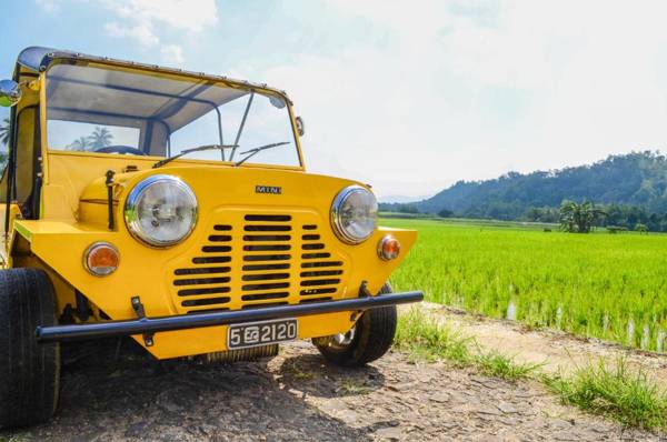 The Elephant Stables