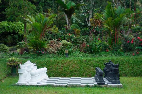 Ancoombra Tea Estate Bungalow