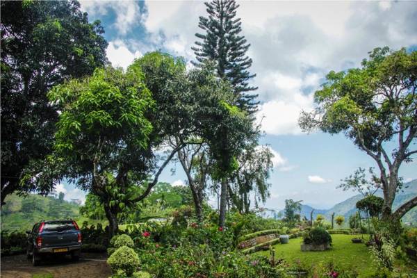 Ancoombra Tea Estate Bungalow