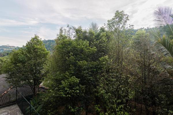 Sun Set Forest Villa