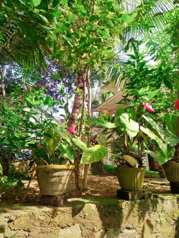 Villa 51-Ground floor