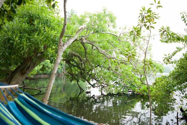 Serendipity Lake by Serendipity Leisure