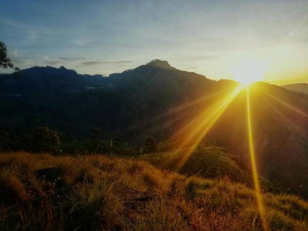 Eco Lodge Haputale-Camping Sri lanka