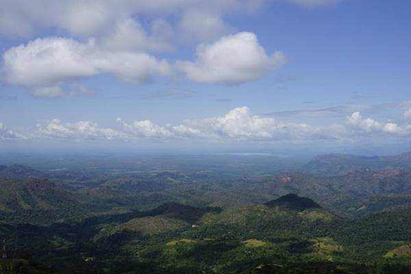 Kelburne Mountain View Cottages